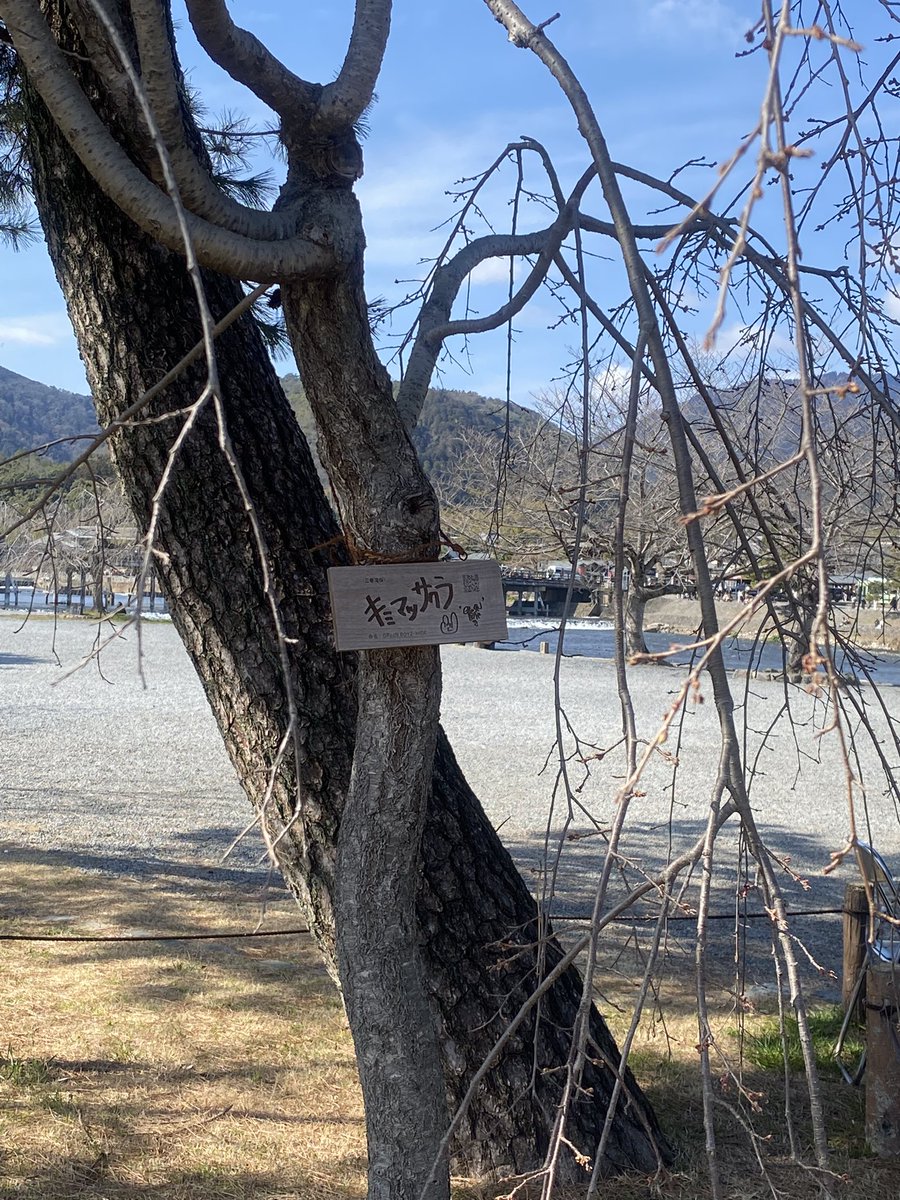 あらびー(まい)@GRCReW tweet media