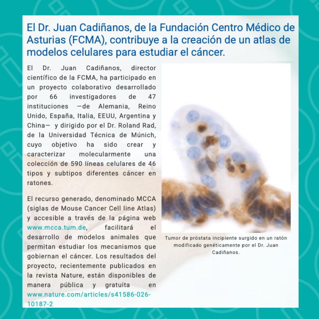 Centro Médico de Asturias tweet media