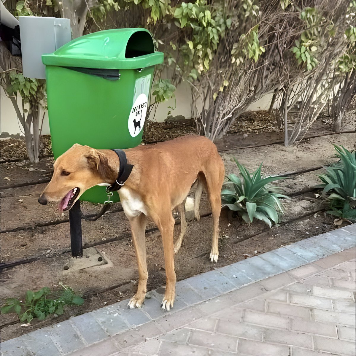 Guerre au Moyen-Orient
La Fondation Brigitte Bardot a été entendue !
💥 La Fondation Brigitte Bardot avait demandé au ministère de l'Agriculture la mise en place en urgence d’un dispositif dérogatoire permettant l’accueil  en France des animaux de compagnie rentrant avec leur