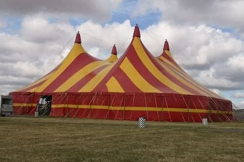 ⚒Chloe⚒ tweet media