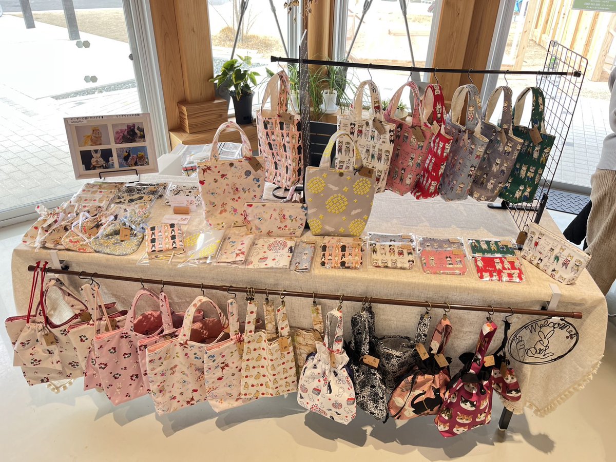 Marron🐇Madonna🪡（びーすけ） tweet media