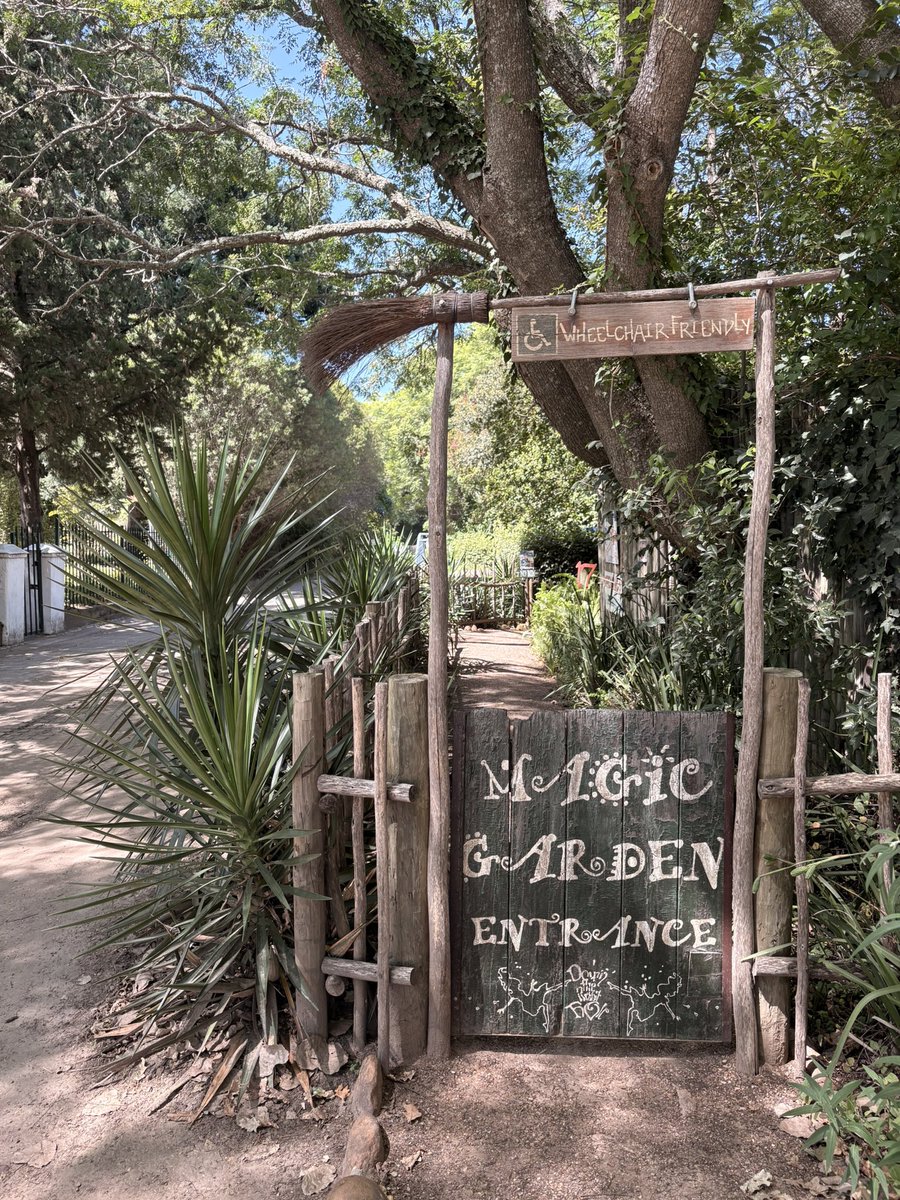 Frieda Lloyd tweet media