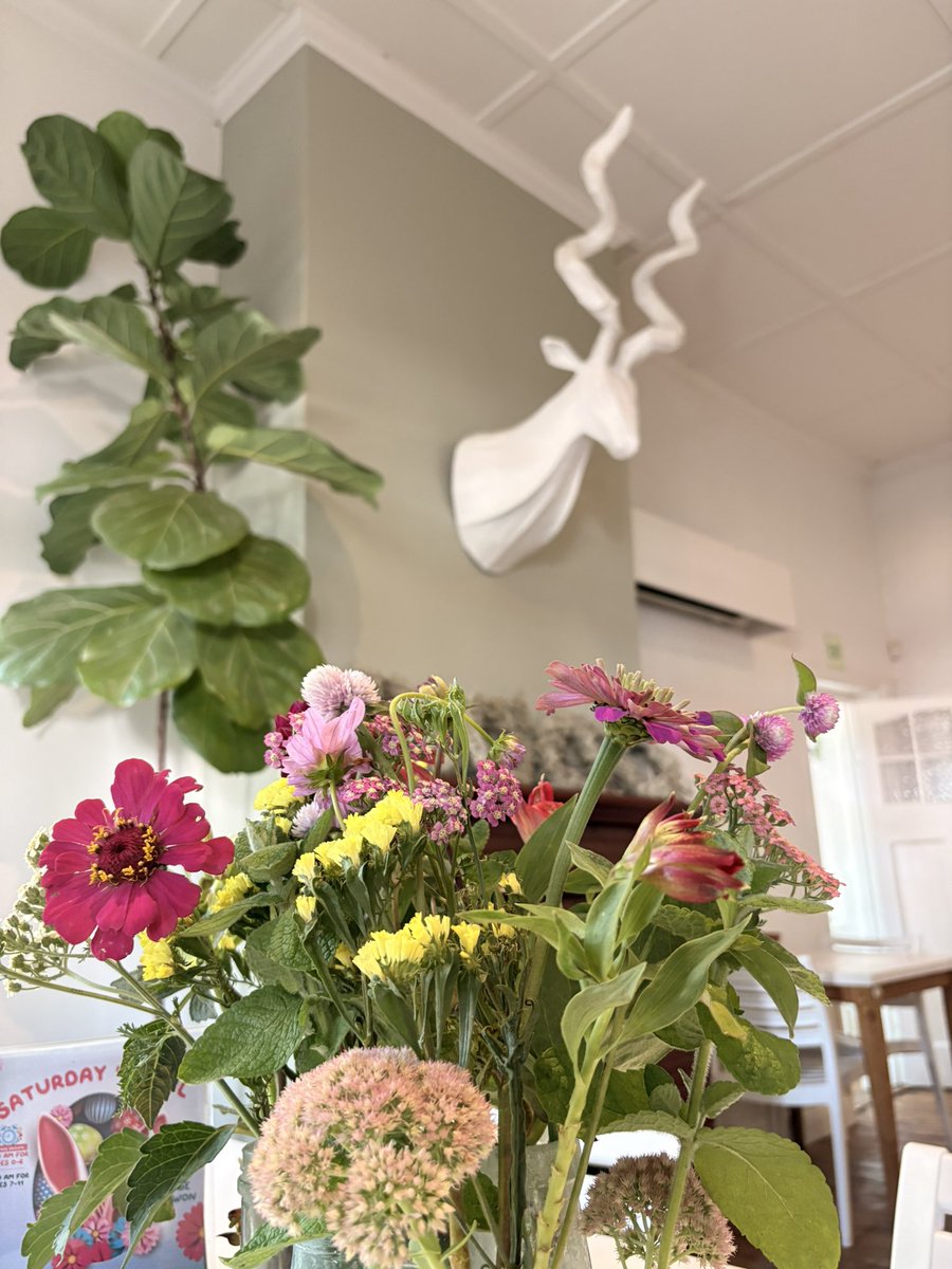 Frieda Lloyd tweet media