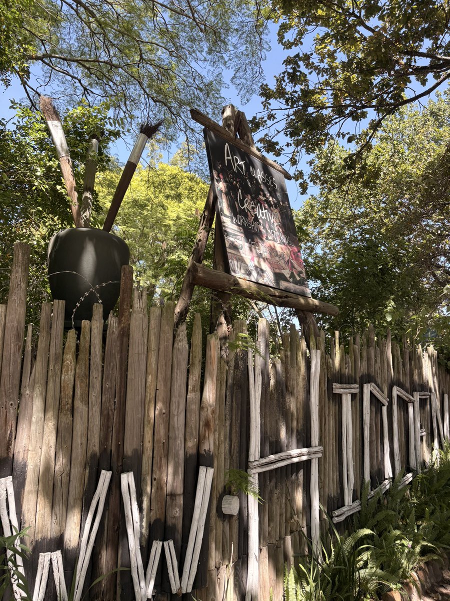 Frieda Lloyd tweet media