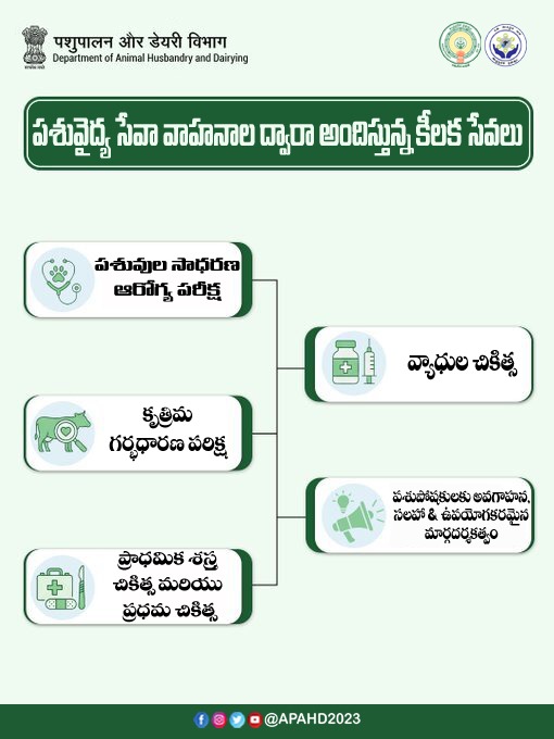 Andhra Pradesh Animal Husbandry Department tweet media