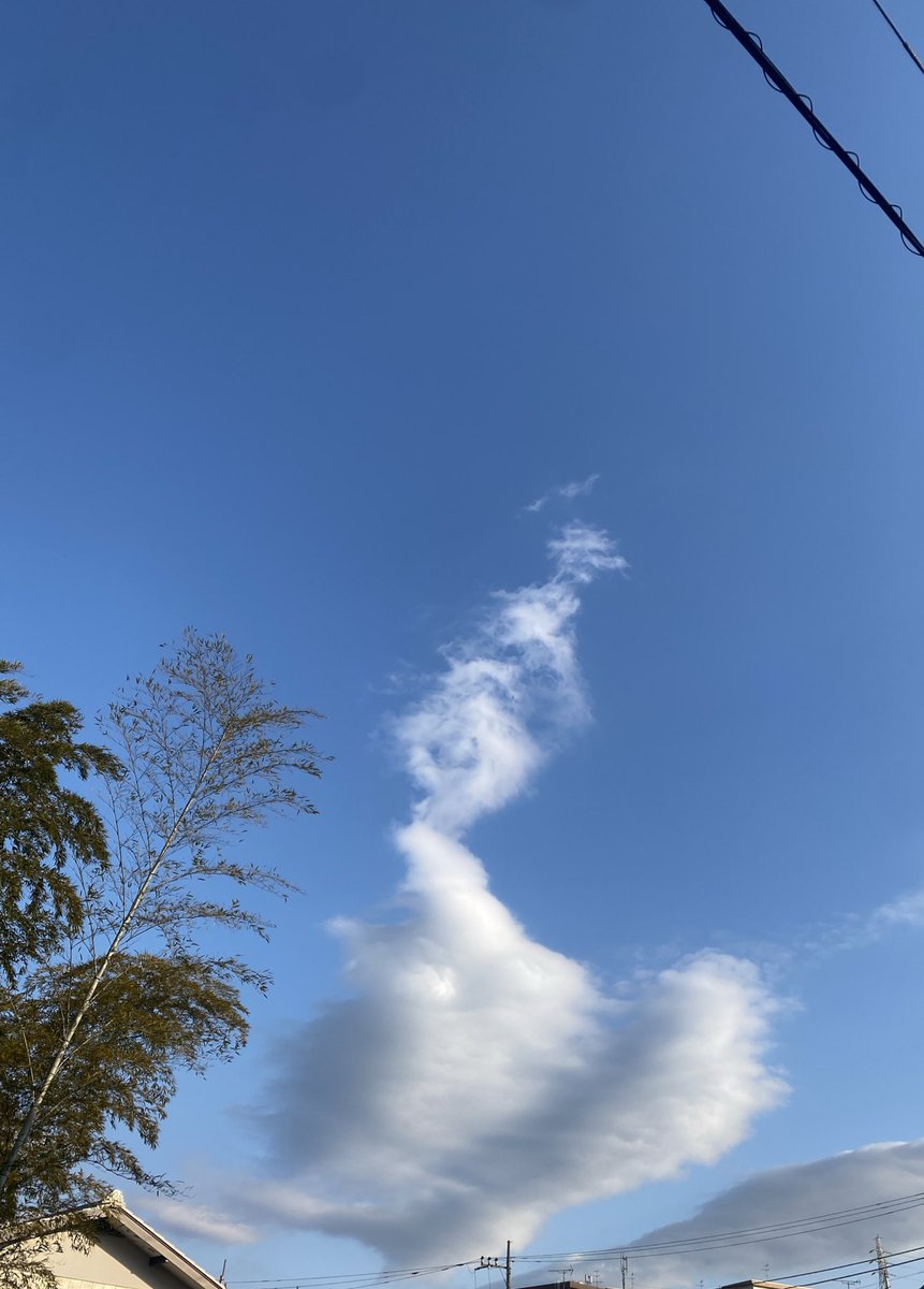 今日は仕事中にその時間にアラームかけて黙祷した。忘れちゃいけないこと。忘れられないこと。