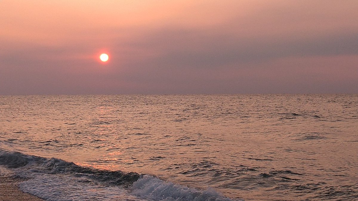 ようやく釣れた😃
久しぶりに夕マズメのサーフに出た🎣
なかなか釣れんくて だんだん暗くなってきて
キャストしたらグリップが変な所に引っ掛かって直してたらHIT💥バラした😂
理解したゾ
同じような感じで流してたらHIT💥
なんとか今年初シーバスGET出来ました😃✌️
とりあえず釣れて良かったぁ