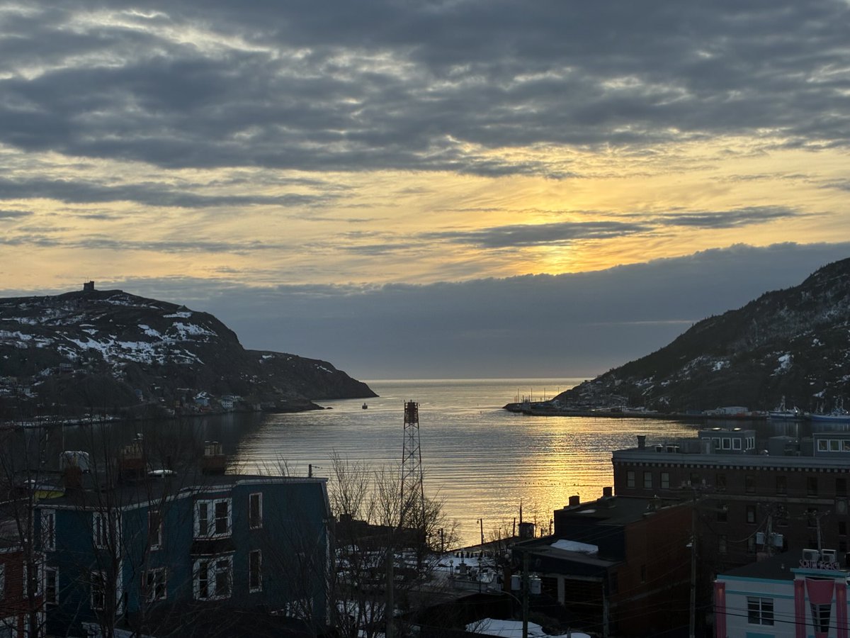 Francesca Swann tweet media