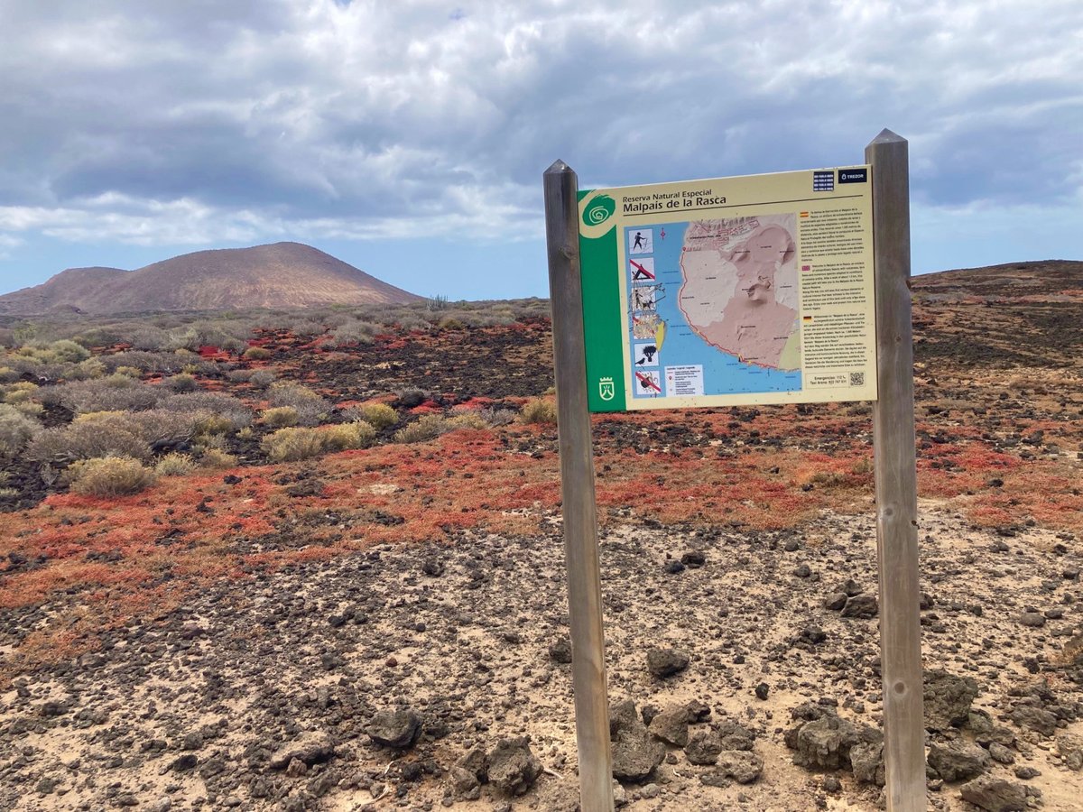 AMT Sol y Playa tweet media