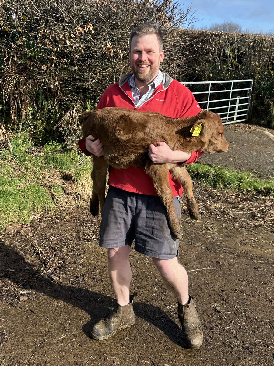 James Wright tweet media