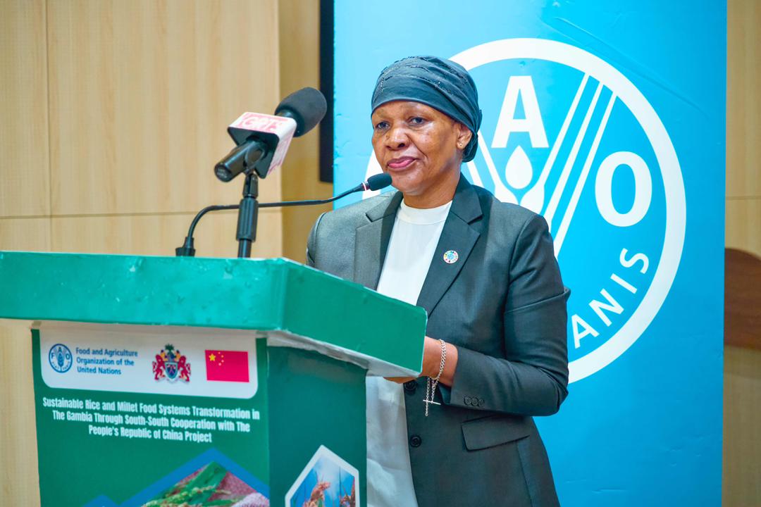 United Nations The Gambia tweet media