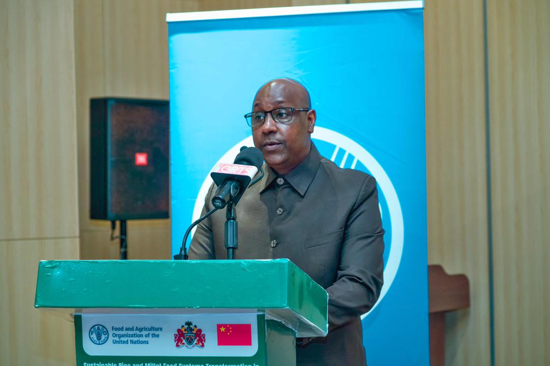 United Nations The Gambia tweet media