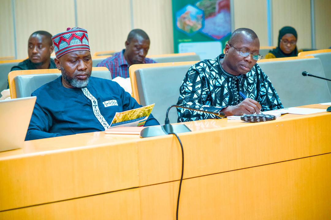 United Nations The Gambia tweet media