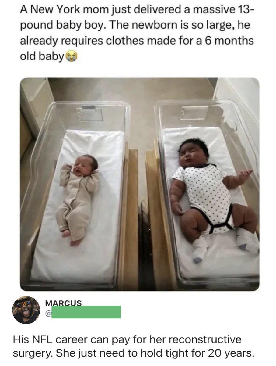 Men's Humor tweet media