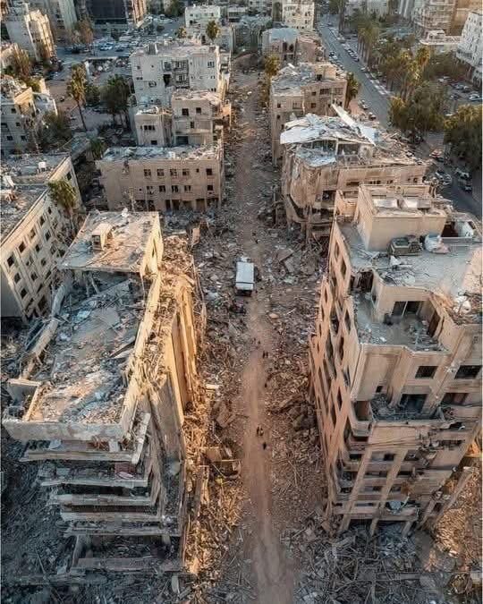 Alaa Arakji علاء عرقجي tweet media