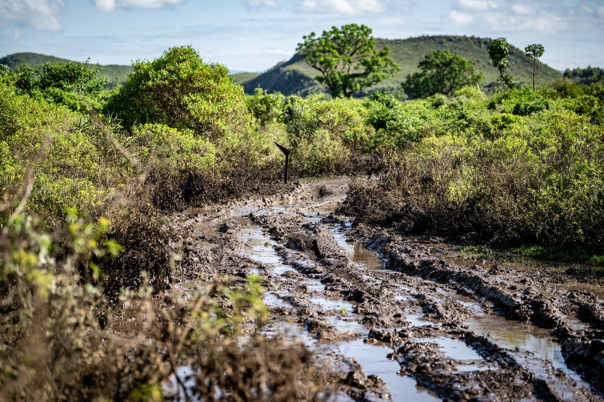 robertvirves's tweet image. Safari Rally Kenya 2026 🇰🇪
Service park &amp;amp; recce

#STARTER • #Evecon • #Chanz • #Nordauto • #Stilo 
@toksportwrt @MotorsportSkoda @OfficialWRC
#WRC #WRC2 #SafariRallyKenya