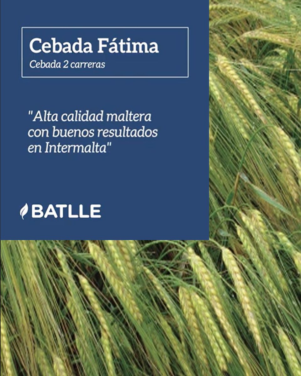 Infoagro tweet media