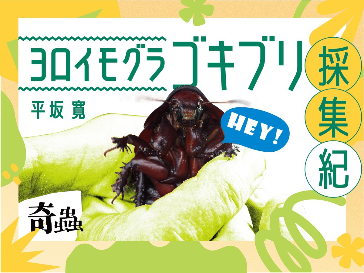 BUGS-DESIGN tweet media