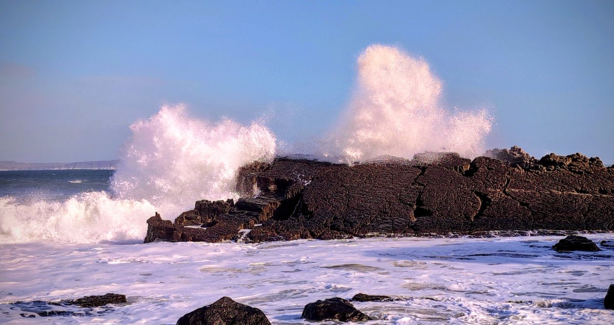 Anne Kelly ⛔NO DMs⛔ unless I know or follow you. tweet media