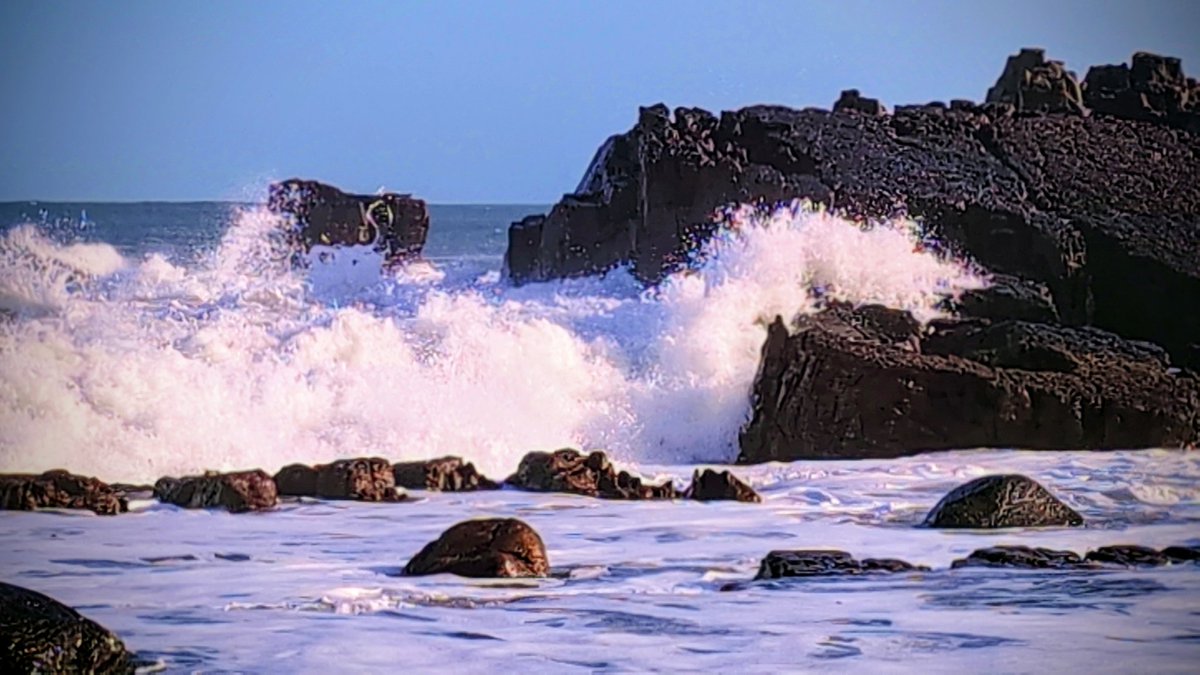 Anne Kelly ⛔NO DMs⛔ unless I know or follow you. tweet media