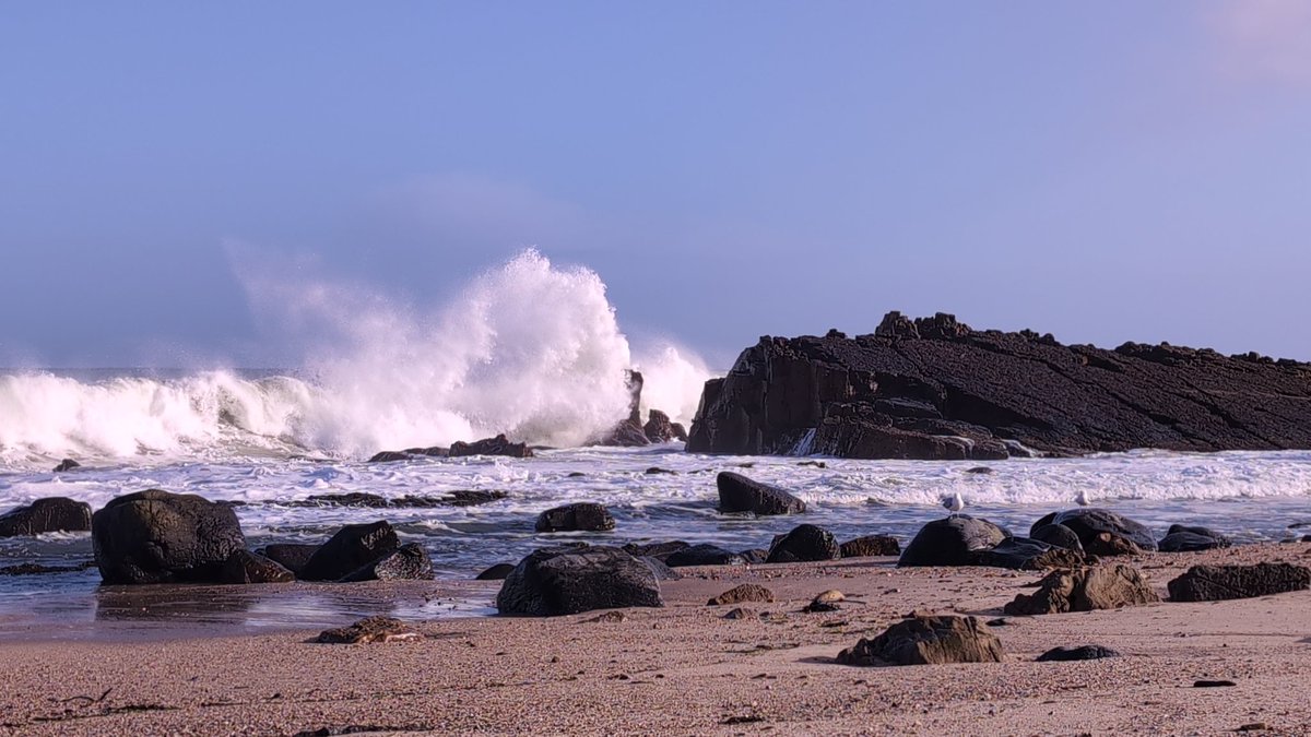 Anne Kelly ⛔NO DMs⛔ unless I know or follow you. tweet media