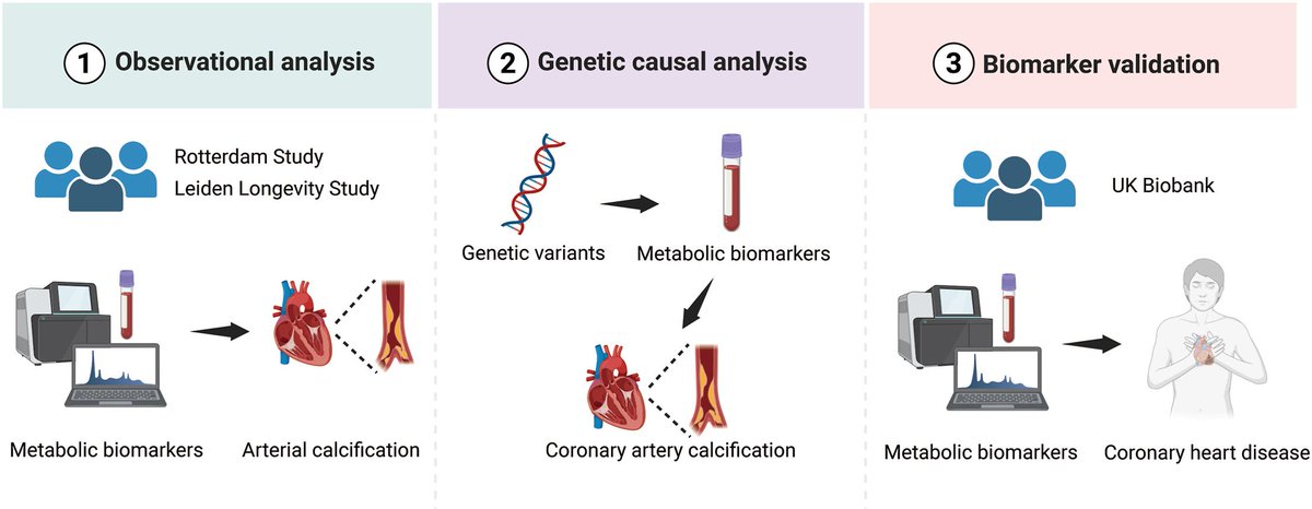 Atherosclerosis Plus tweet media