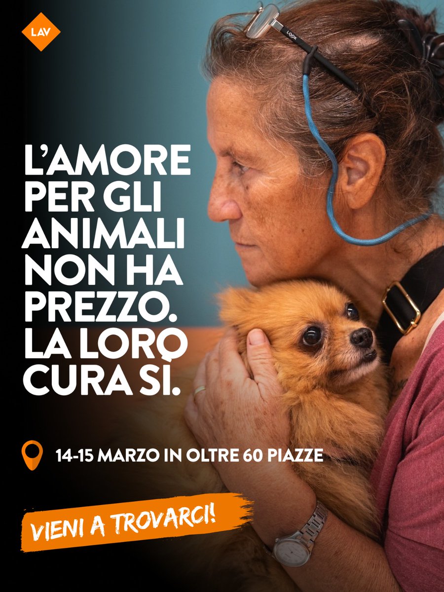 LAV Bari tweet media