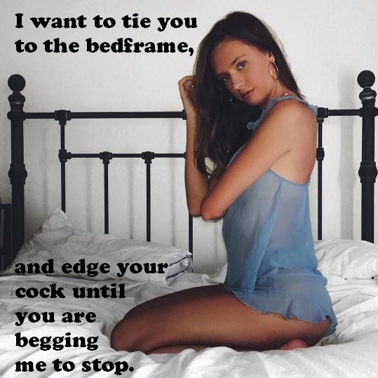 Hottest Wife tweet media