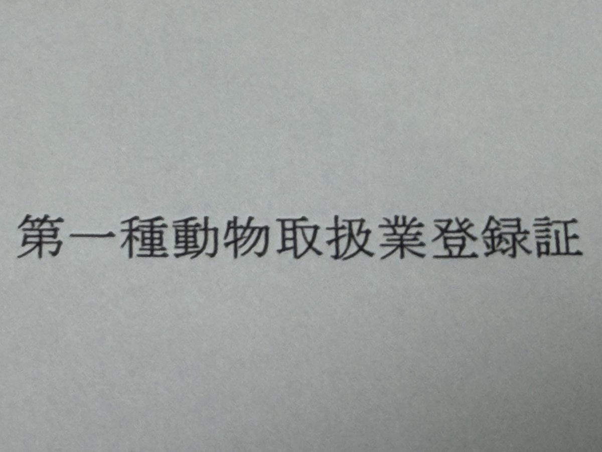 Black Magic Morphs Japan tweet media