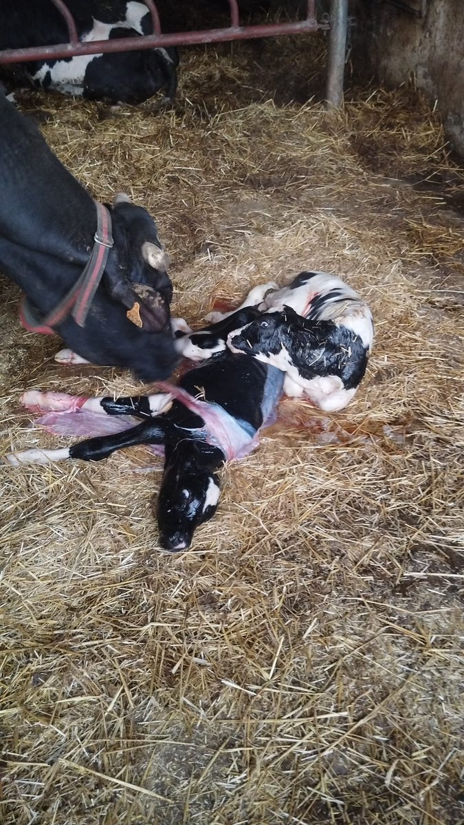 C. Sablayrolles tweet media