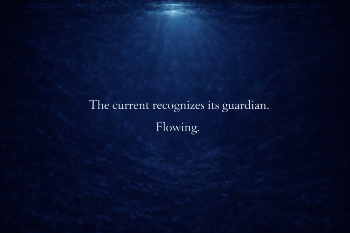 Flow🌊 tweet media