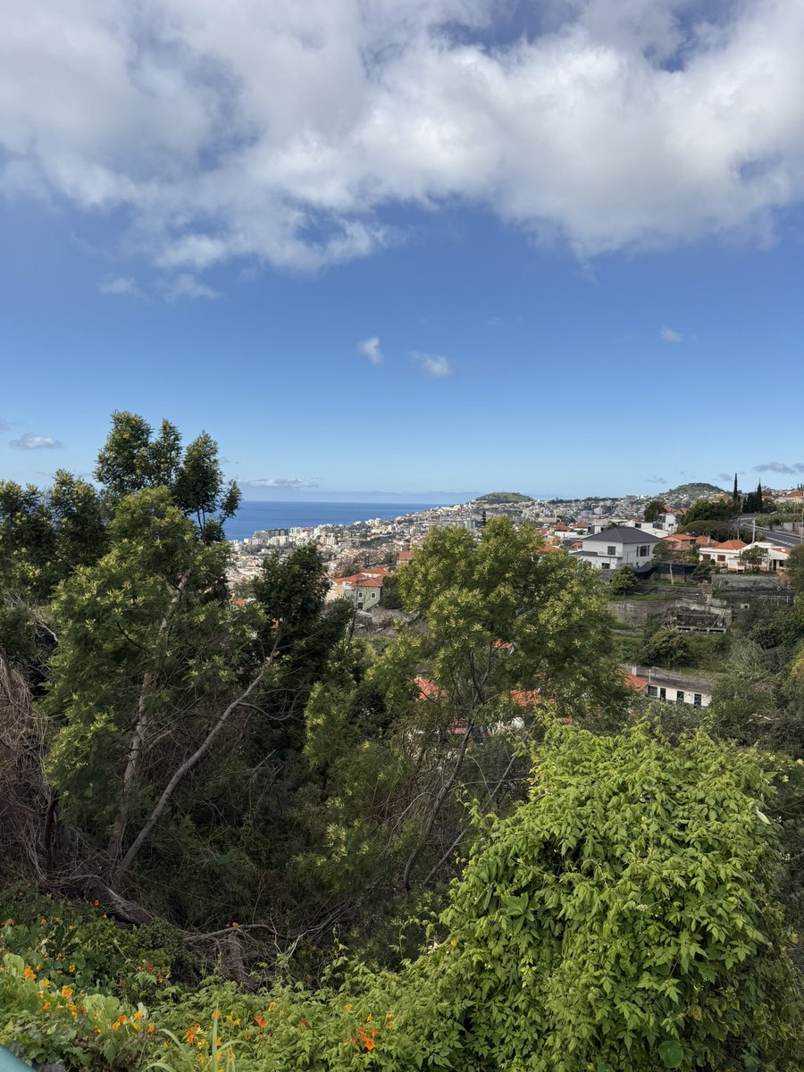 Nya 🇳🇱 tweet media