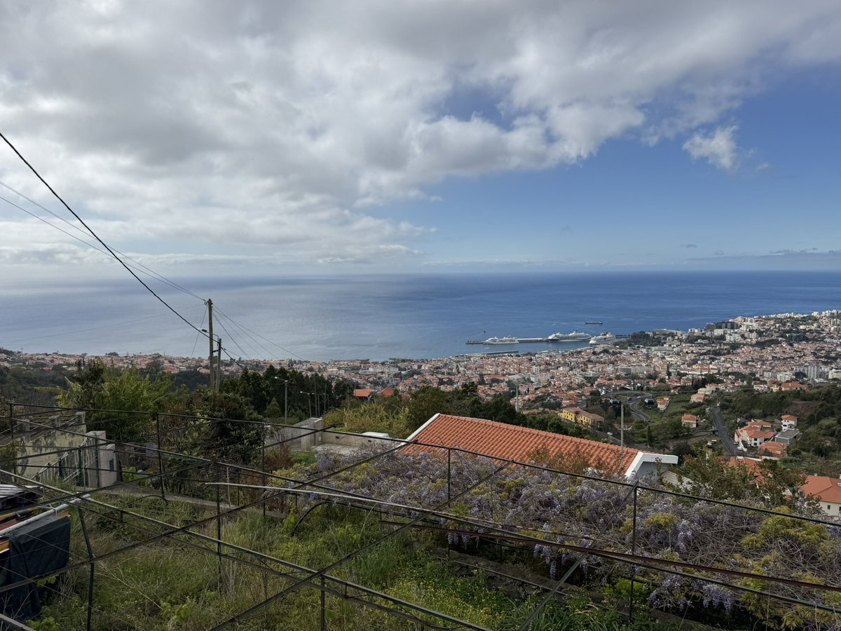 Nya 🇳🇱 tweet media