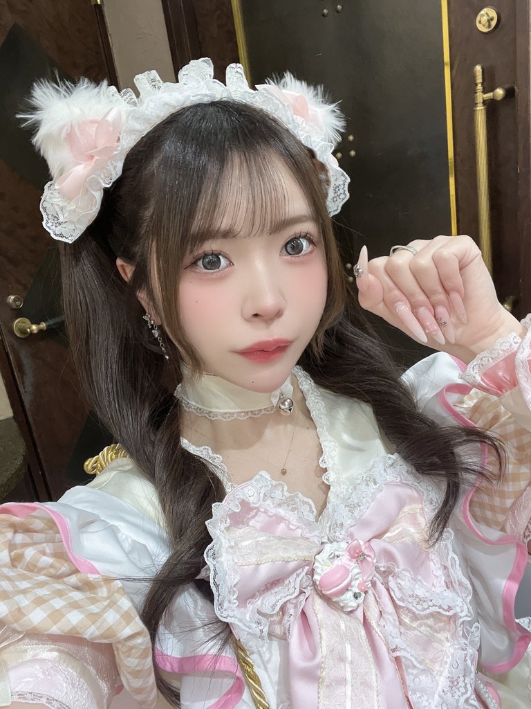 あんにゃ🐱 tweet media