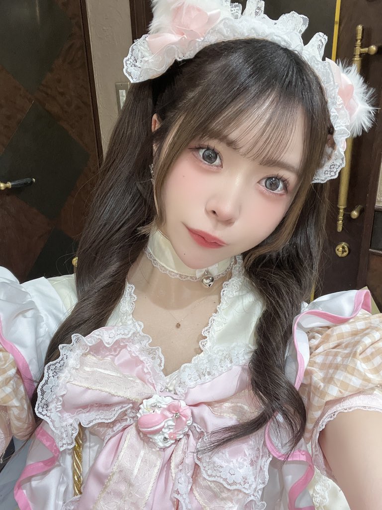 あんにゃ🐱 tweet media