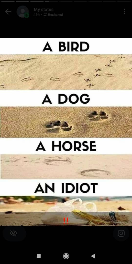 Global Confidence tweet media