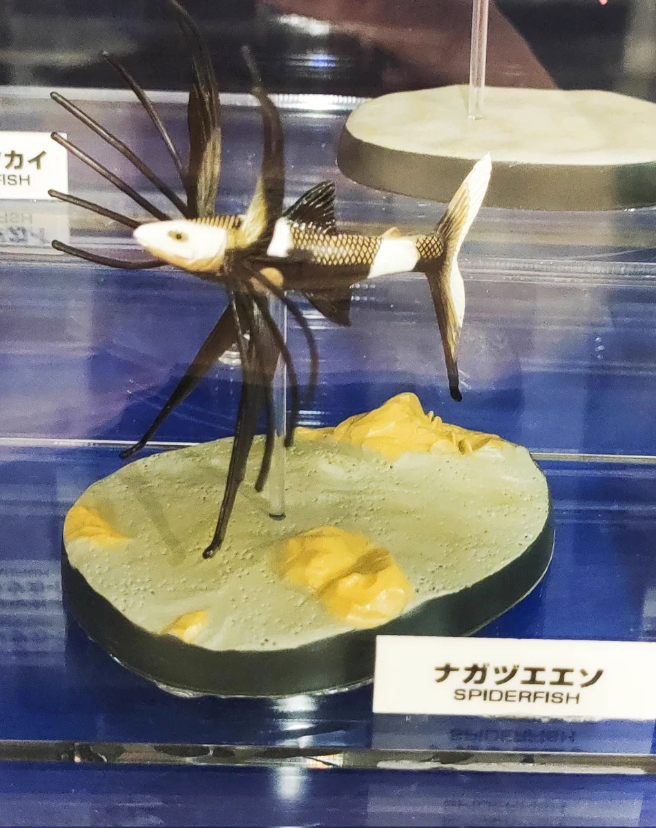 ヤマトイワナ　33センチ　剥製 HDH7wfmacAA157G?format=webp&