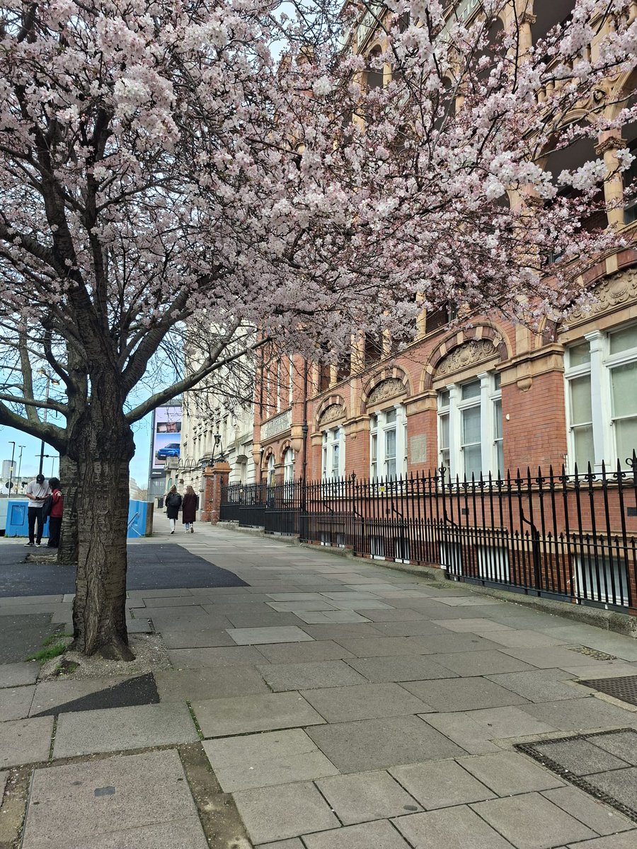 Inma Pineda tweet media