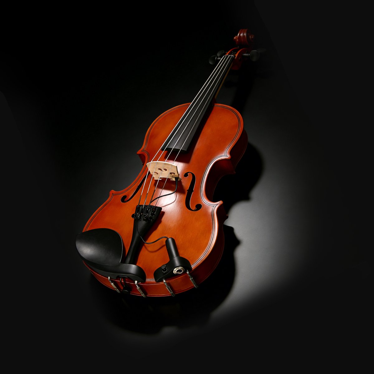 CKMOVA's tweet photo. 🎻 Violin Bridge-Mount Pickup with Wooden Base – Elevate Your Sound!

Designed for discerning #violinists, #CKMOVA bridge-mount wooden base pickup VPS delivers warm, natural tone without altering your instrument’s acoustic voice. 

#CKMOVA #violin #violinpickup #violinaccessories https://t.co/vK8ruLGo9r
