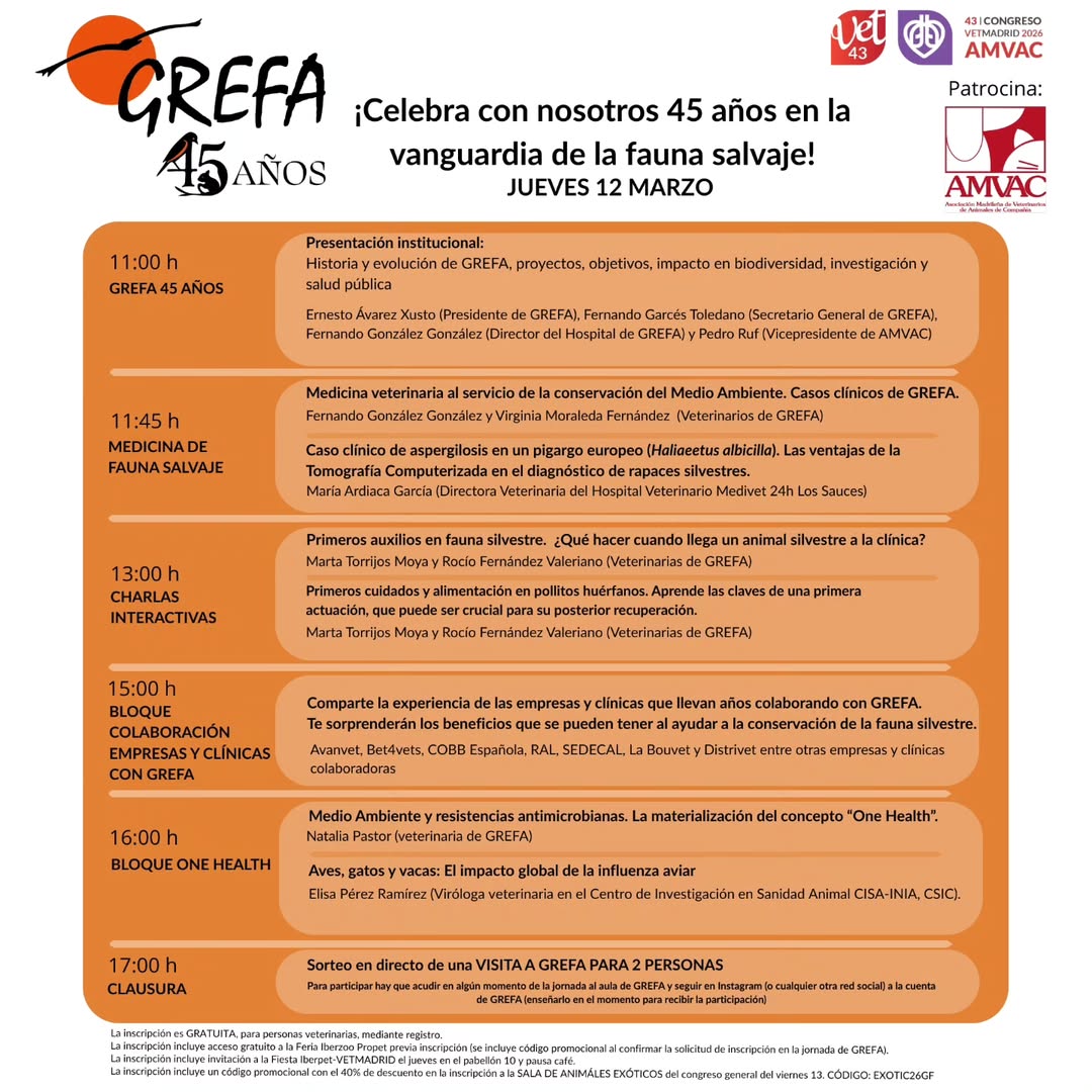 Elisa Pérez-Ramírez tweet media