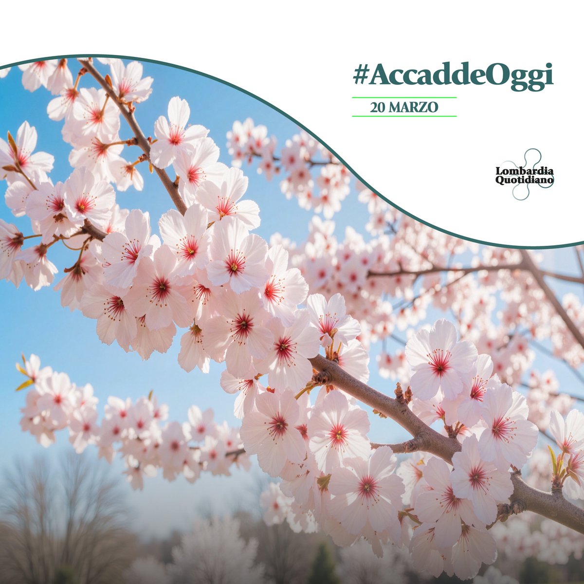 CR Lombardia tweet media