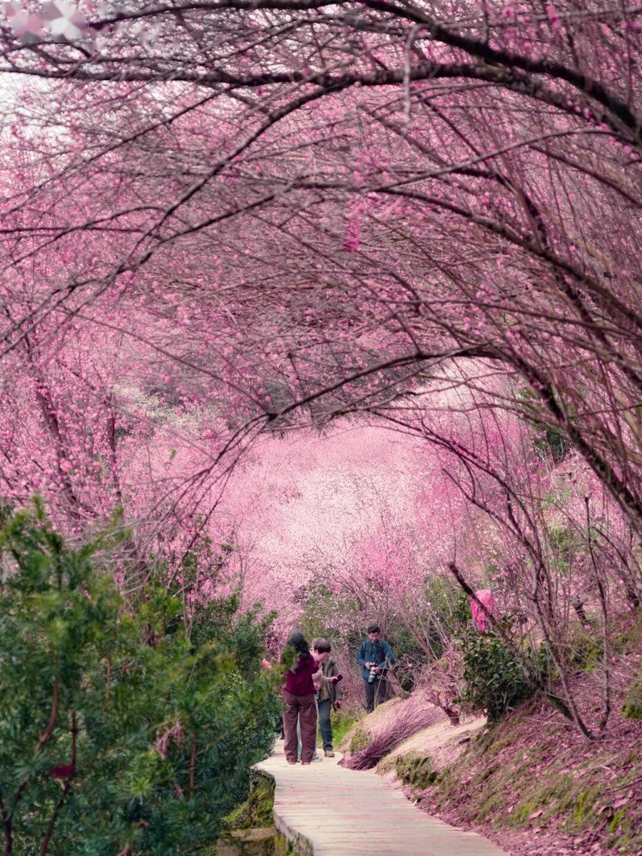 HackingTutorials123 tweet media