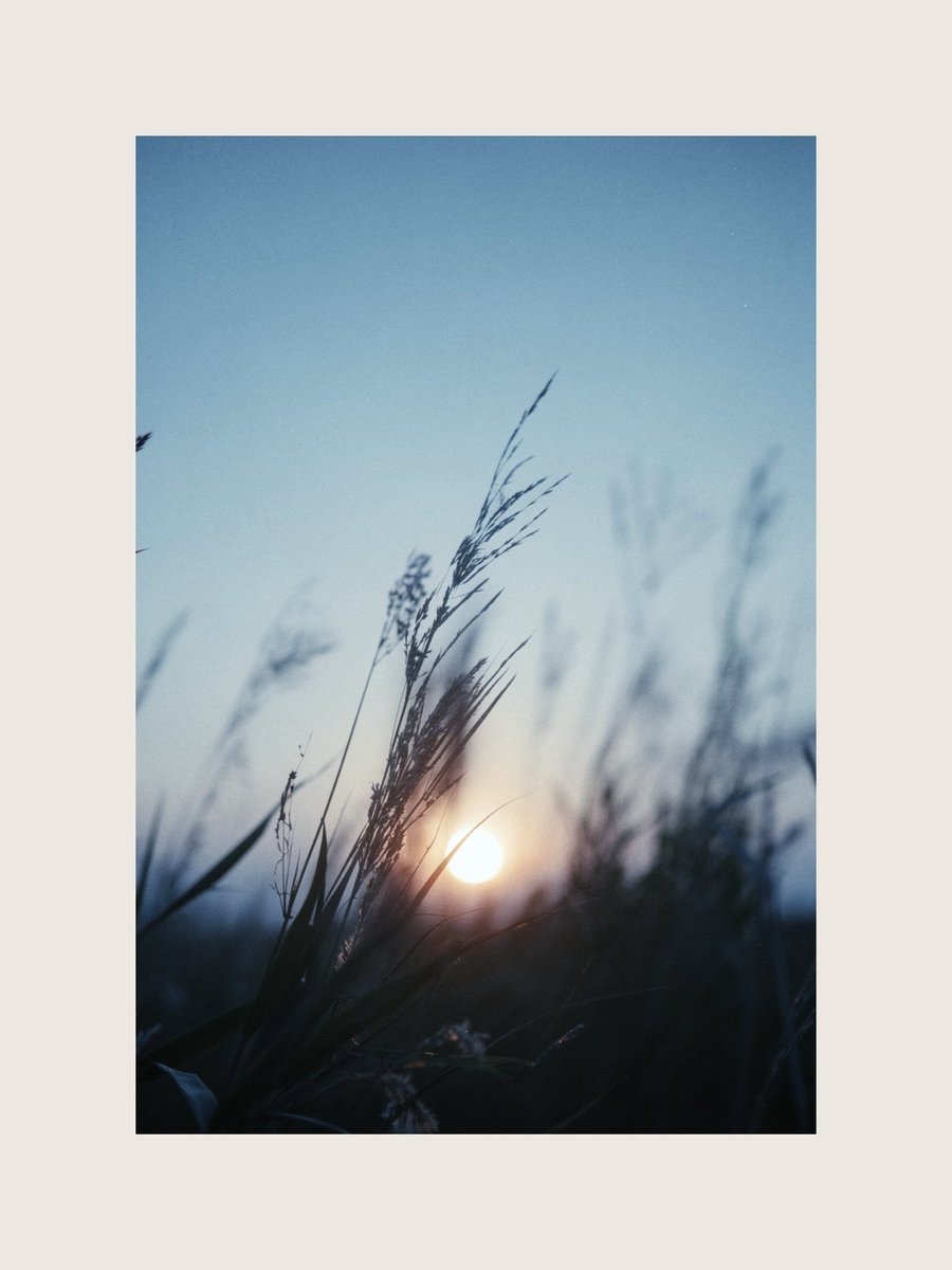 wunder (@suisounonou_jp) on Twitter photo 