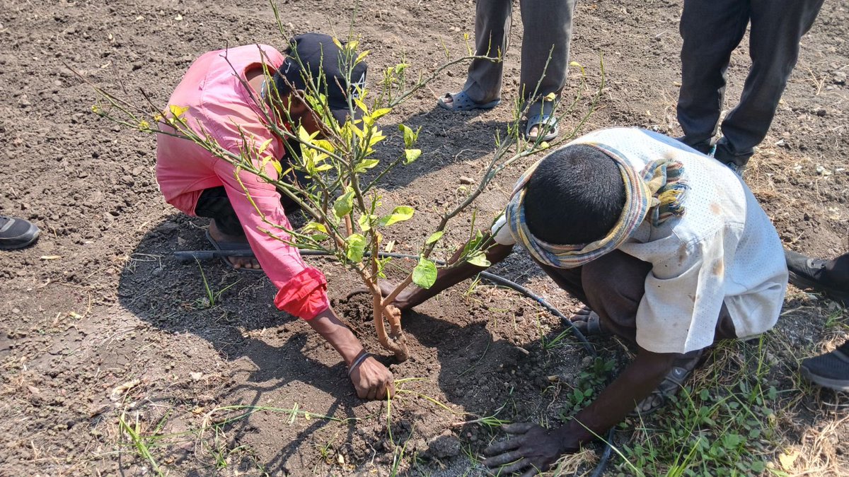 Jain Irrigation tweet media