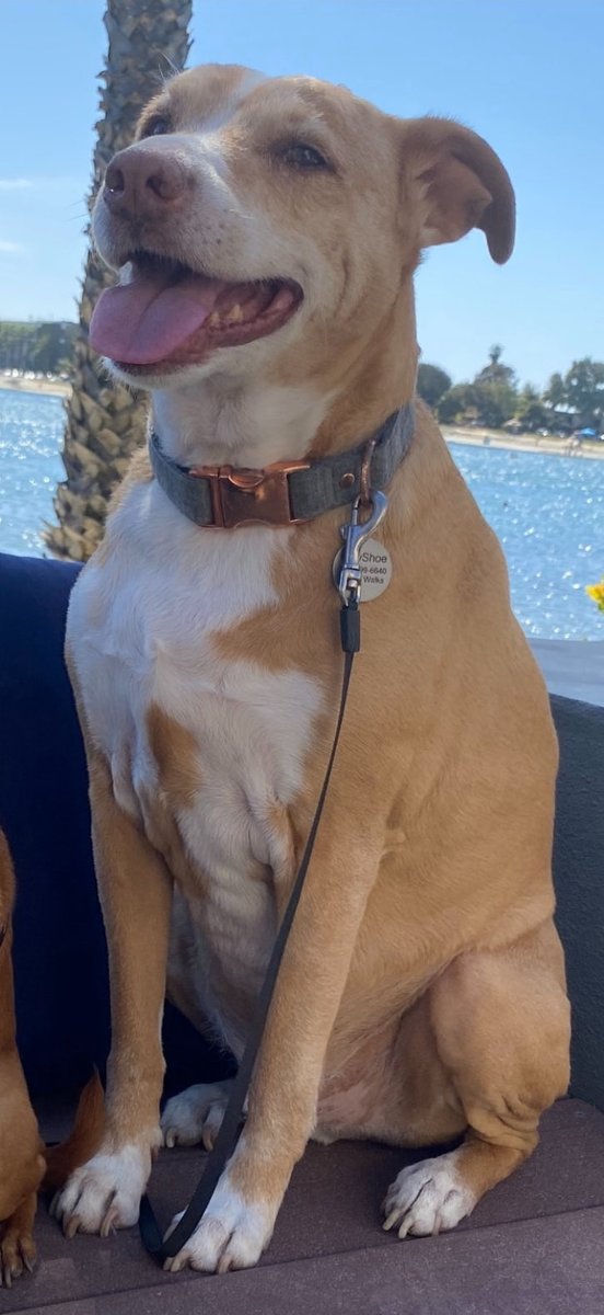 Lauren Ingle tweet media