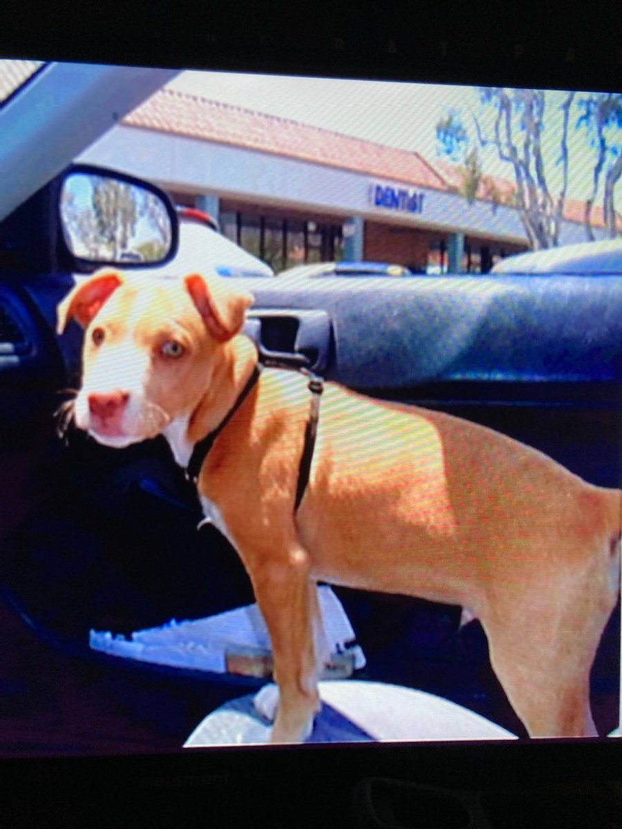 Lauren Ingle tweet media