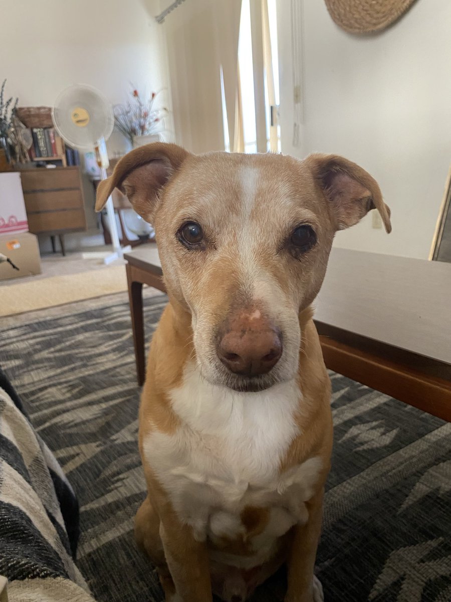 Lauren Ingle tweet media