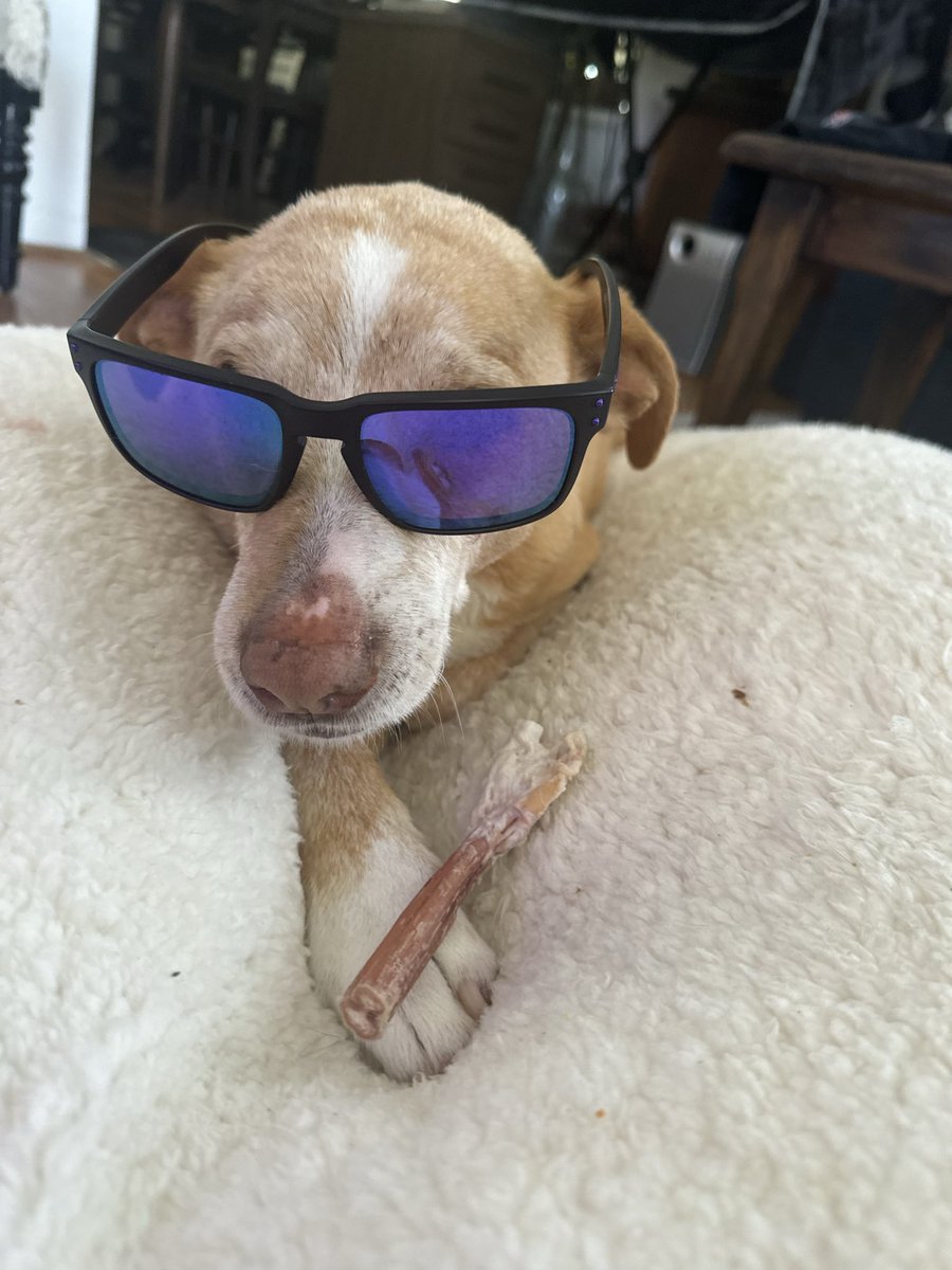 Lauren Ingle tweet media