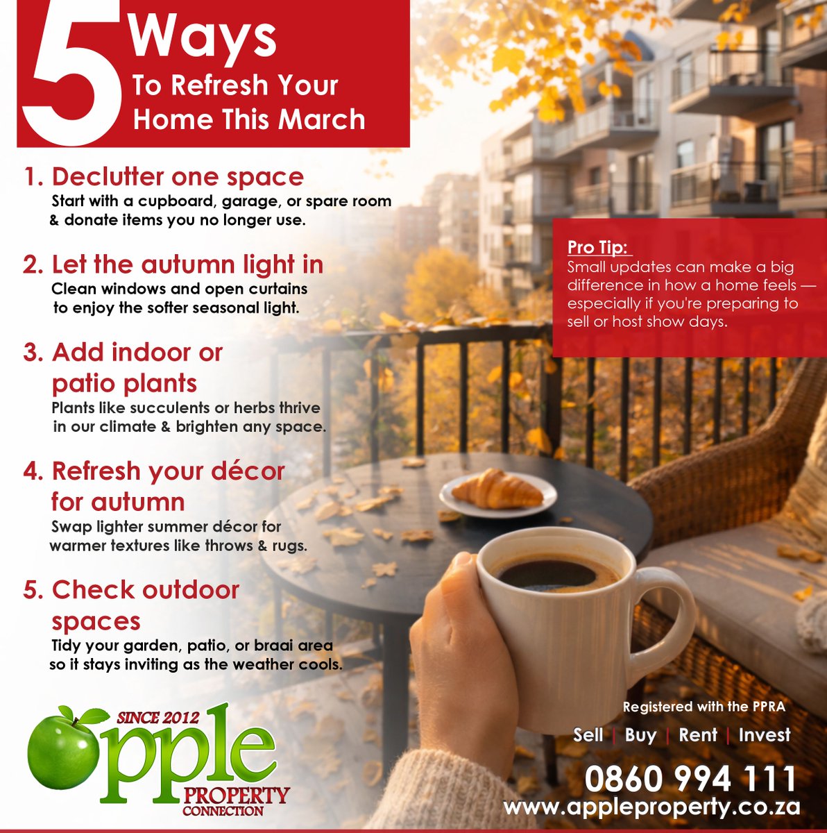 ApplePropertySA's tweet image. 🍂 Give your home a quick refresh this March! 

📞 0860 994 111
🌐 appleproperty.co.za

#HomeRefresh #AutumnLiving #PropertyTips #AppleProperty #HomeTips