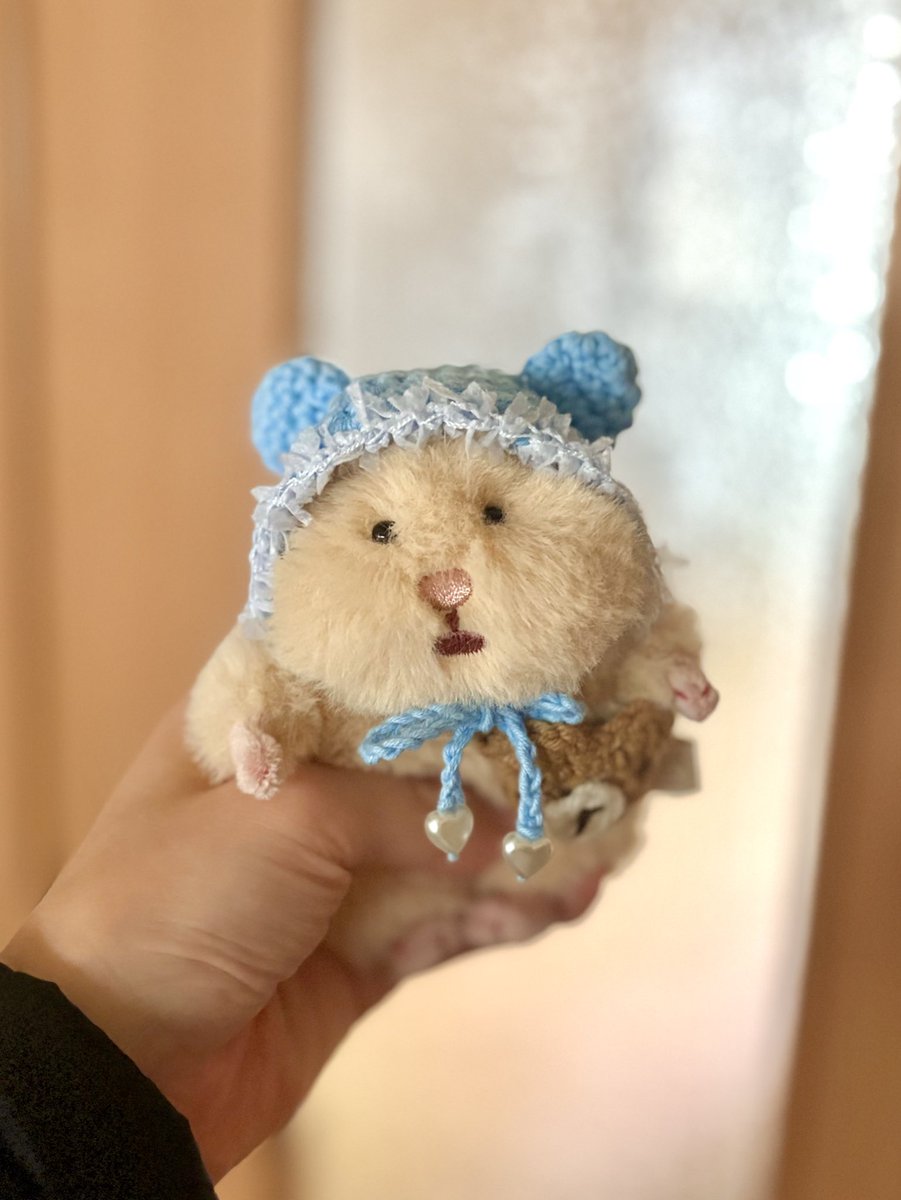 ぬい！ (@archikin_dododo) on Twitter photo 